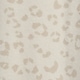 Snow Leopard