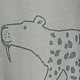 gray tiger