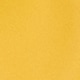 rainslicker yellow