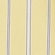 Yellow Stripe