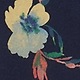 Navy Floral
