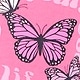 Standout Pink