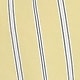 Yellow Stripe
