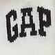 Gap Logo