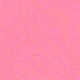 Neon Pink Rose