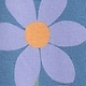 Cornflower