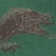 Green Dino