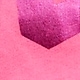 Neon Pink Rose