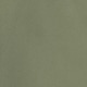 desert cactus green