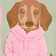 Desert Sage Green Dog
