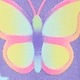 Butterfly Icon