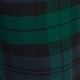 family matching blackwatch plaid